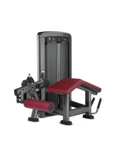 Life Fitness Insignia Fémoral Couchée 
