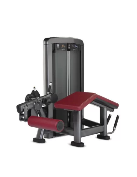 Life Fitness Insignia Fémoral Couchée 