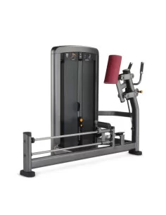 Life Fitness Insignia Fessiers 