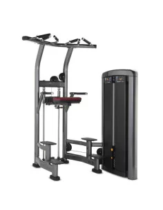 Life Fitness Insignia Fonds et Dominées Assistés 