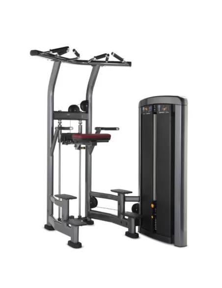 Life Fitness Insignia Fonds et Dominées Assistés 