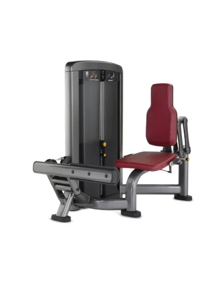 Life Fitness Insignia Jumeaux 