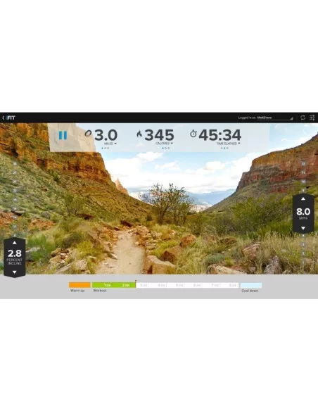 Life Fitness T5 Track Connect Tapis de Course (Bluetooth + Apps Interactives) 