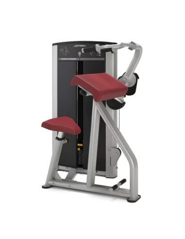 Life Fitness Triceps Extension Axiom Series 