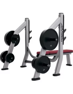 Olympic Bench Weight Storage Signature Series - Life Fitness 