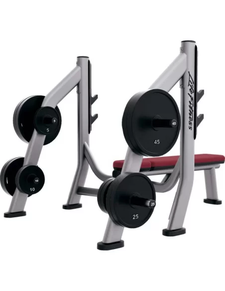 Olympic Bench Weight Storage Signature Series - Life Fitness 
