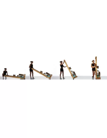 Oxbridge Rameur - WaterRower  