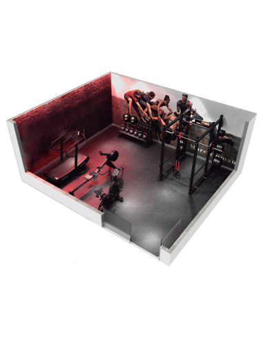 Pack Binom 10 Gym Cardio + Musculation 