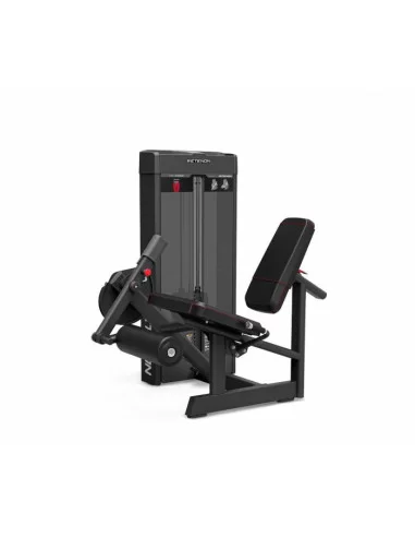 PC20 Extension des quadriceps 