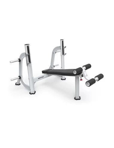 Presse Déclinée Olympique Evolution Bancs Bodytone 