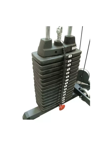 Paire de Poids Optionnels Sp50 Bodysolid 22.5kg