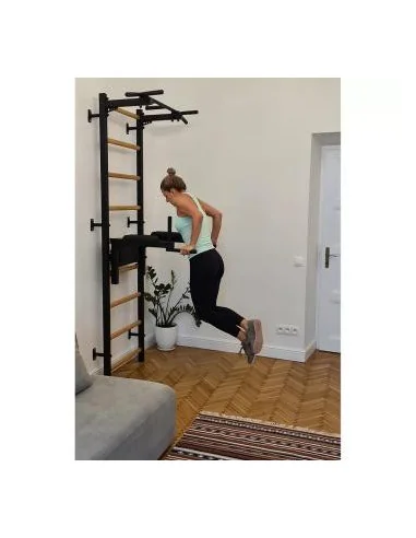 Barre de décrochage noire pour la maison avec barre de traction et station de dips – BenchK 722B 