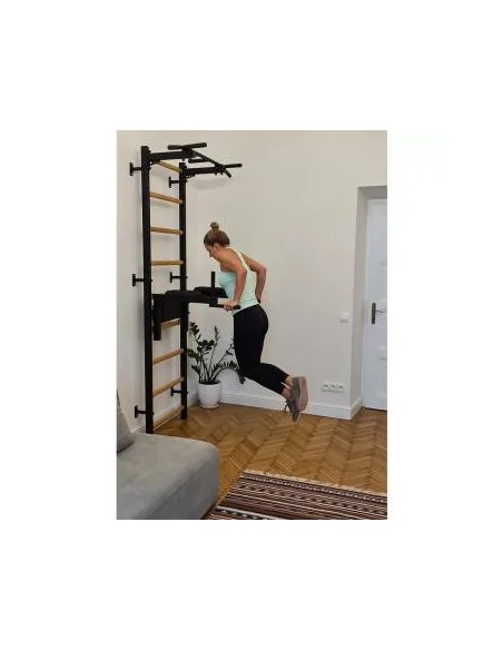 Barre de décrochage noire pour la maison avec barre de traction et station de dips – BenchK 722B 