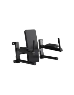 CHAISE ROMAINE MURALE  3 EN 1 ABDOS DIPS TRACTION 2
