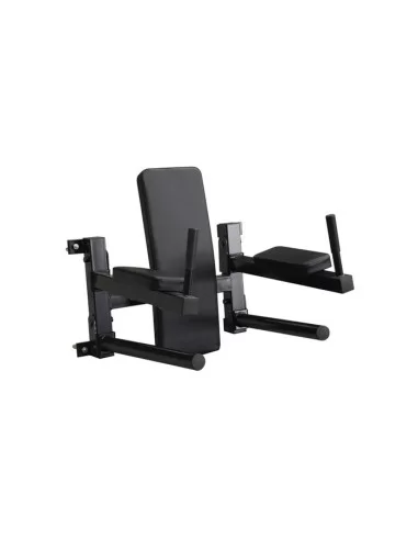 CHAISE ROMAINE MURALE  3 EN 1 ABDOS DIPS TRACTION
