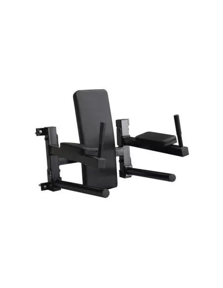 CHAISE ROMAINE MURALE  3 EN 1 ABDOS DIPS TRACTION