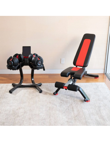 Bowflex Original SelectTech 552i Mancuernas Ajustables (2 - 24kg) 