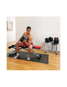 Bowflex Original SelectTech 552i Haltères Ajustables (2 -... 2