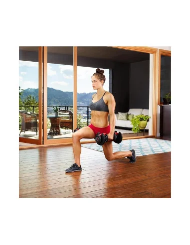 Bowflex Original SelectTech 552i Haltères...