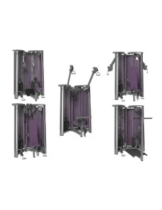 Gym 80 Sygnum Cable Art 5 machines 