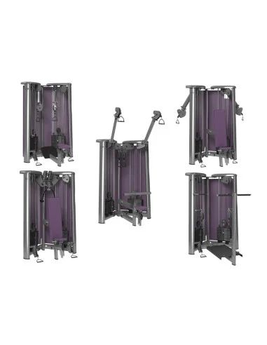 Gym 80 Sygnum Cable Art 5 machines 