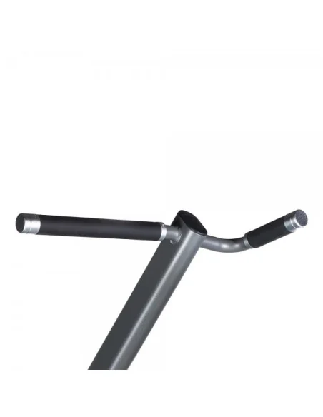 Assisted Pull-up/Chin-up & Dip Machine TOORX PRO PLX-6350 