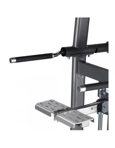 Assisted Pull-up/Chin-up & Dip Machine TOORX PRO PLX-6350 