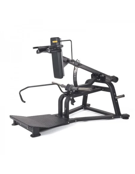 Machine de musculation pour quadriceps TOORX Professionnel FWX-6200 