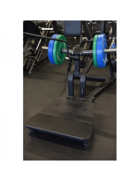 Machine de musculation pour quadriceps TOORX Professionnel FWX-6200 