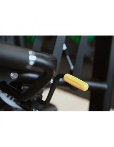 Leg Extension/Leg Curl 2-en-1 TOORX Professionnel PLX-5600 