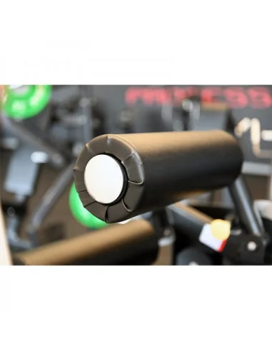 Leg Extension/Leg Curl 2-en-1 TOORX Professionnel PLX-5600 