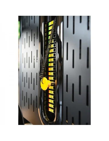 Butterfly deltoïde 2-en-1 TOORX Professionnel PLX-5000 