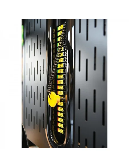 Butterfly deltoïde 2-en-1 TOORX Professionnel PLX-5000 