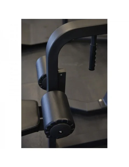 Tirage Pull Down TOORX Professionnel FWX-5600 