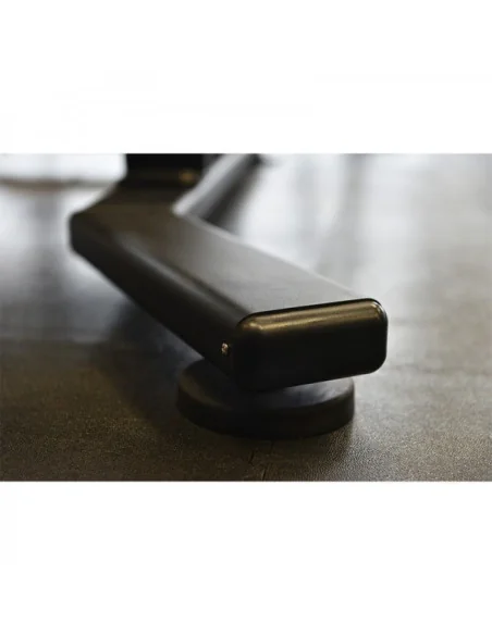 Glute Machine TOORX Professionnel FWX-4600 