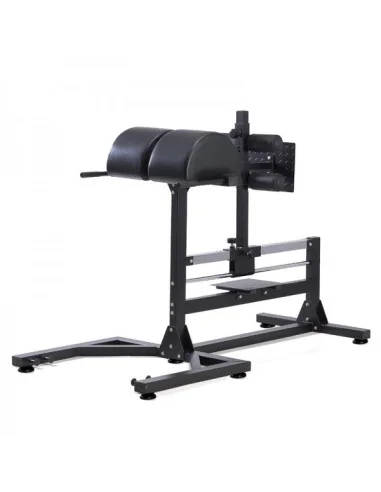 Banc GHD abdos-lombaires TOORX Professionnel WBX-300 