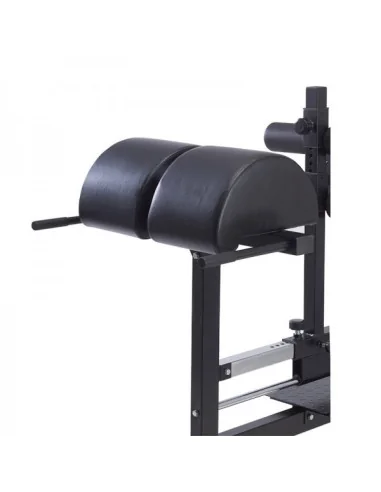 Banc GHD abdos-lombaires TOORX Professionnel WBX-300 