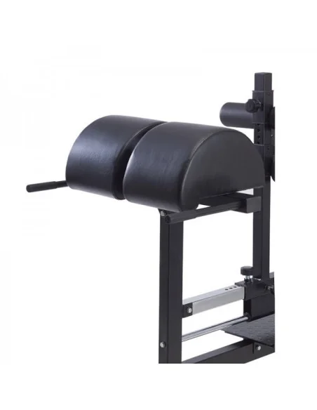 Banc GHD abdos-lombaires TOORX Professionnel WBX-300 