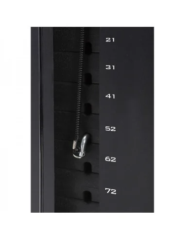 Station de musculation TOORX MSX-60 