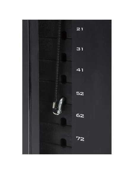 Station de musculation TOORX MSX-60 