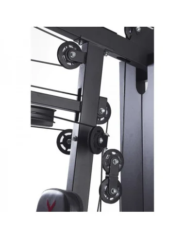 Station de musculation TOORX MSX-60 