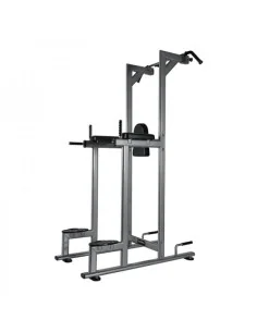 Chaise romaine TOORX Professionnel WBX-2800 