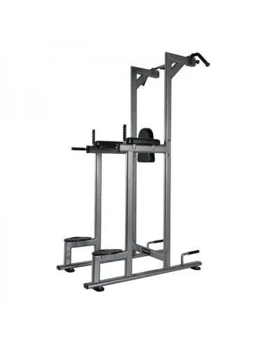 Chaise romaine TOORX Professionnel WBX-2800 