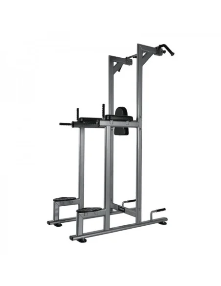 Chaise romaine TOORX Professionnel WBX-2800 