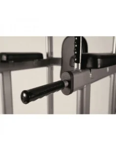 Chaise romaine TOORX Professionnel WBX-2800  2