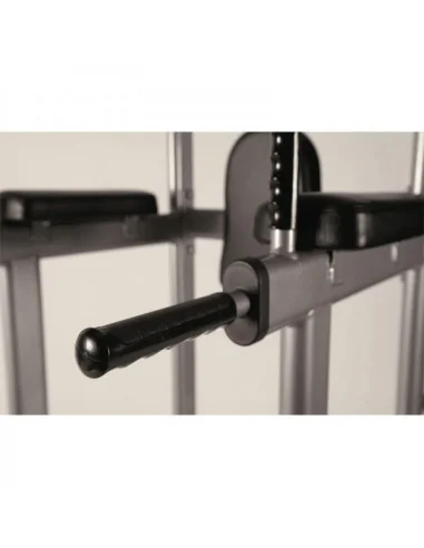 Chaise romaine TOORX Professionnel WBX-2800 