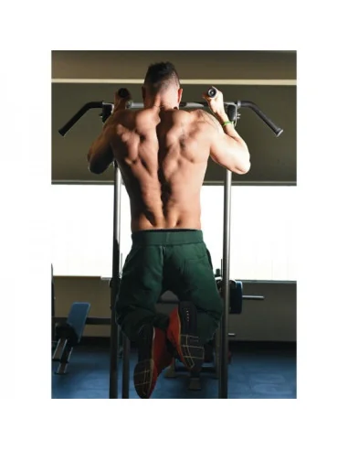 Chaise romaine TOORX Professionnel WBX-2800 