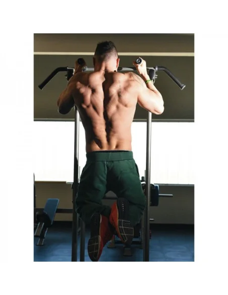 Chaise romaine TOORX Professionnel WBX-2800 