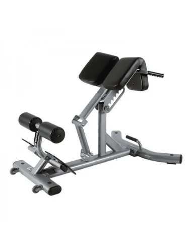 Banc de musculation lombaires TOORX Professionnel WBX-2600 