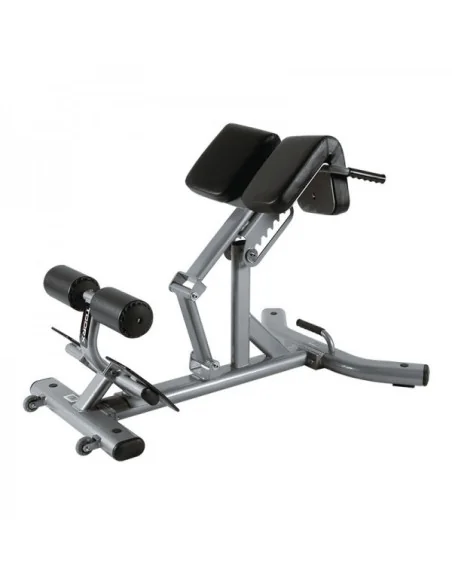 Banc de musculation lombaires TOORX Professionnel WBX-2600 